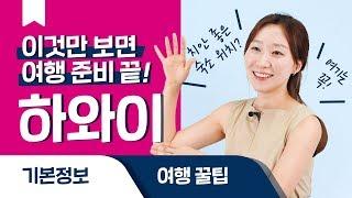 렌트해서 하와이 여행할 때 꼭 알아야할 꿀팁!ㅣ하와이 여행정보 다 모엿! [여행백과사람/여행온도125˚]