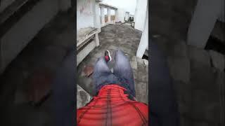 Spiderman PARKOUR POV P.13 ( Epic Parkour POV Run ) / Tobypk
