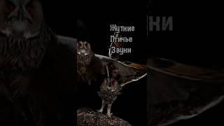 С какой они планеты  #шортс #птицы #китоглав #топ