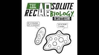 The APsolute RecAP: Biology Edition - Big Ideas and Science Practices