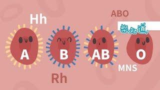 血型是如何分类的？除了ABO还有35类血型 How is the blood type classified?ABO and more【柴知道】【科普Science】【冷知识Trivia】