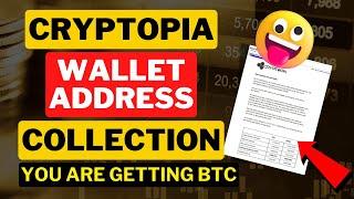 Cryptopia Started Wallet Address Collection | Cryptopia Latest Update