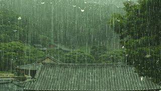 The Best Rain Sounds to Sleep Immediately after 2 Minutes - Rain to Sleep - Relax, ASMR