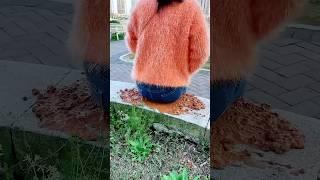 Survival Skills: Single mom show SMART ideas and USEFUL with noodles in forest #camping #bushcraft