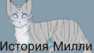 История Милли/Коты-воители