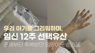 시험관 임신 12주차 유산. 우리 아가 미안하고 사랑해!