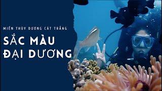 Sắc màu đại dương  – Miền thùy dương cát trắng| VTV9