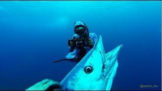 Best of North Carolina Spearfishing - Wahoo & mix