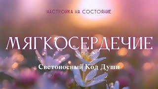 Мягкосердечие. Настройка на состояние #мягкосердечие #Весталия #СКД #школаcорадение