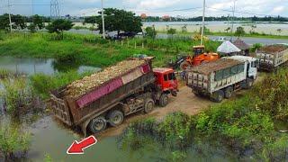 Huge Construction Dump truck 25.5Ton Filling Land for Development with Bulldozer SHANTUI, Mix Job