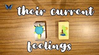  THEIR CURRENT  FEELINGS   Timeless Tarot Reading 