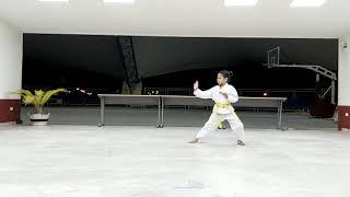 Kata Principiante Shotokan Karatenomichi (HEIAN SHODAN)