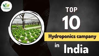 Top 10 hydroponics campany in India | Training | Internship | Job | Agrihunars |