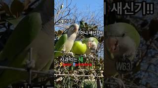 인간과 공존하는 도심 속 자연공원 | 스페인 | 바르셀로나 | 한국정책방송원 | KTV
