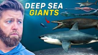 7 Largest Ocean Creatures To Ever Exist