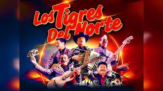 MIX TIGRES DEL NORTE  ~ PUROS CORRIDOS  Corridos Con Banda Pa' Pistear Mix 2024