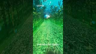 Tunnel LED screen，Immersive Led display five-sided immersive Arc cave display #advertising