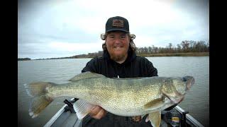 Kickerfish Pre Fishing 11.76 LB Walleye On The Red River!