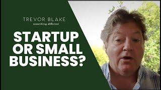 What's the Difference Between a Startup or Small Business?