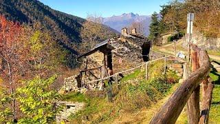 Ristrutturo la Baita in Montagna – Pavimento pietra - Potatura Alberi - Gettata Cemento - n. 67