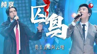 神仙嗓音听到想哭！费玉清阿云嘎演绎《囚鸟》绝美和声太美妙了！ #我们的歌第一季 Singing With Legends S1 Clip