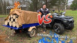 Bashan EXPLORER 300 и 300кг дров! Грязи и пикник!