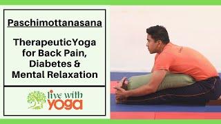 Therapeutic Yoga for Back Pain, Diabetes & Mental Relaxation || Paschimottanasana Steps and Benefits