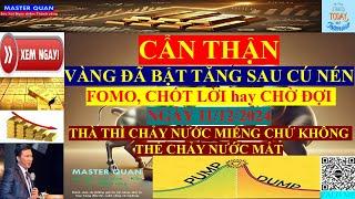 Vàng tăng đến đâu - Fomo, chốt lời hay chờ đợi(Vàng 11/12/2024) #gold #giavanghomnay #giavangthegioi