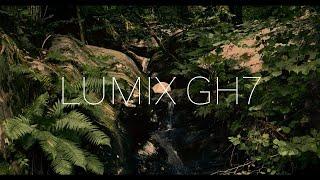 Lumix GH7 cinematic VLOG 2 (street cinema)