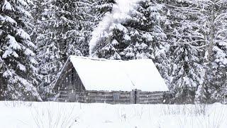 snowy winter night in an abandoned hunters log cabin