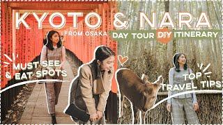 KYOTO & NARA JAPAN  Walking TOUR + Travel & Food Vlog (Day Trip from Osaka) | Sophie Ramos