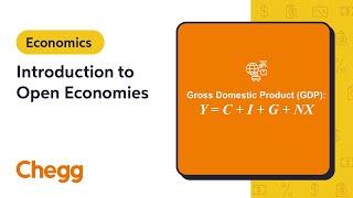 Introduction to Open Economies | Macroeconomics