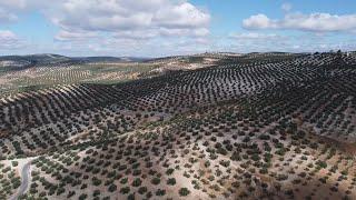 Sobrevolando Cuevas San Marco Encinas Reales España Drone Spain