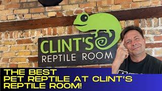 The BEST Reptile Pet at Clint's Reptile Room!