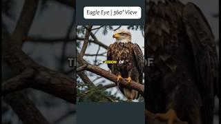 Eagle Eye | 360 Degree VIew #facts #amazing