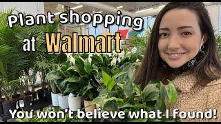 Let's go Plant shopping at WALMART | You won't believe what I found! | January 2022