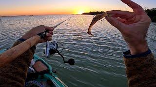 Zero to Hero - Everglades Flats Monster Surprise Catch On This Little Lure!! Watch Your Hands!!