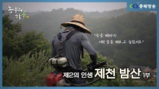 [농부의 하루 13회] 제2의 인생 제천 밤산 1부