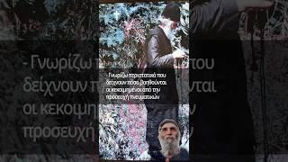 Άγιος Παΐσιος | Η Προσευχή Για Τους Κεκοιμημένους... #ΜονοπάτιαΠίστης