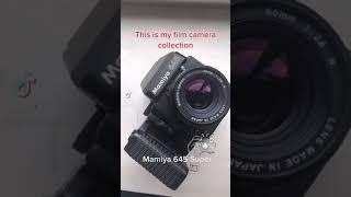 My downsized film camera collection