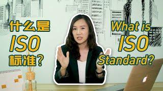 What is ISO Standard? How does the system help your business? 什么是ISO标准？ISO标准如何帮助您的的企业？