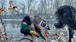 Duck Hunting MALLARDS in the SNOW! SUB FREEZING Micro Creek