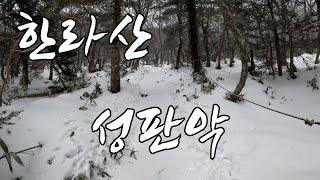 한라산 성판악 겨울산행 처음 다녀왔습니다~~!!!!!  / 등산, 트레킹, 백패킹, 여행, 브이로그 등 다양한 엑티비티 채널