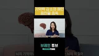 음란물/야동을 매일 하루종일 보는 사람들의 뇌는?