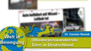 "(Wieder)einwandernde Wildtiere in Deutschland" - Dr. Carsten Nowak