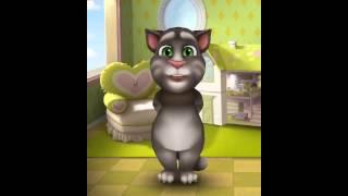 My Talking Tom Gameplay Video