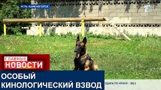 УНИКАЛЬНЫЙ КИНОЛОГИЧЕСКИЙ ВЗВОД БАЗИРУЕТСЯ В УСТЬ-КАМЕНОГОРСКЕ