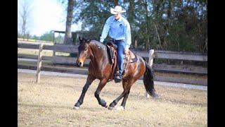 Introduction to Zeke Zacharias with Zacharias Horsemanship