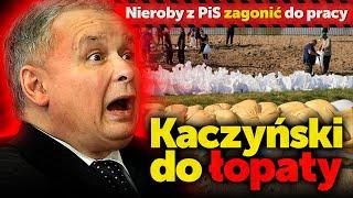 Kaczyński do łopaty. Zagonić do pracy dorodnych pisowców.Mjr wywiadu w stanie spoczynku Robert Cheda