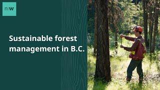 Sustainable Forest Management in B.C.